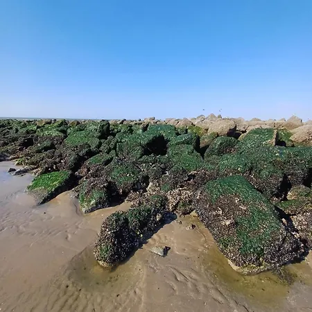 Vue Wenduine 2 * De Haan